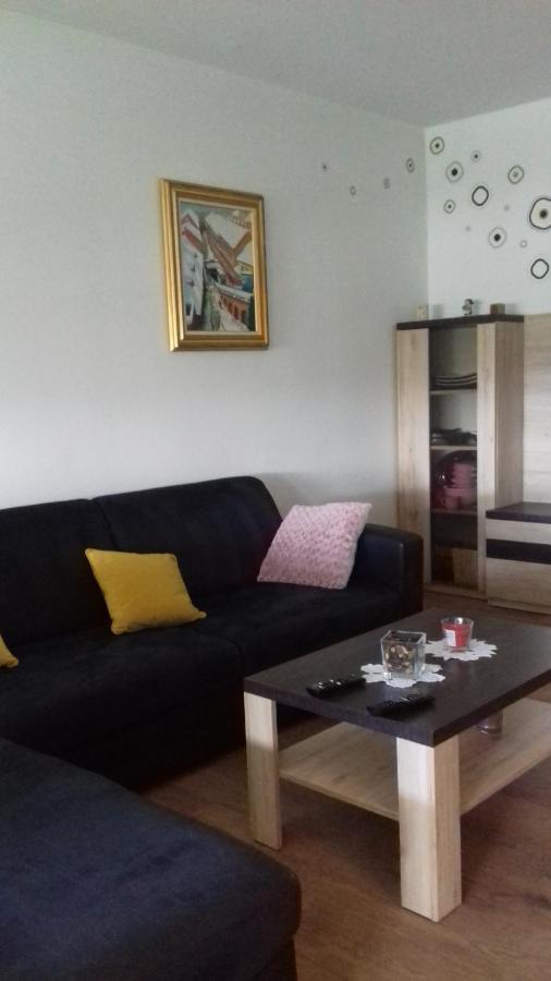 Apartman Lana ,Froudeova Ulica 3 Nasuprot Zg Velesajma Zagreb Exterior photo